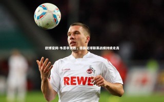 欧博官网-韦恩亭大胜，德国足球联赛战绩持续走高